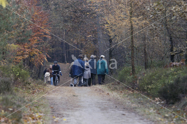 National Park Utrechtse Heuvelrug