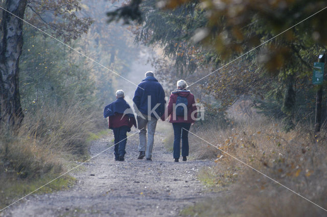 Nationaal park Utrechtse Heuvelrug