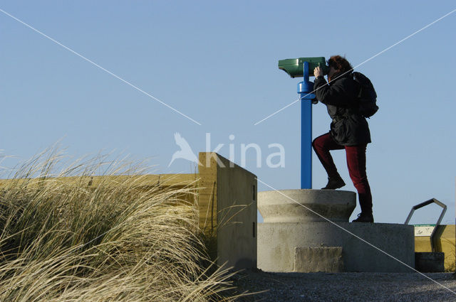 Schoorlse Duinen