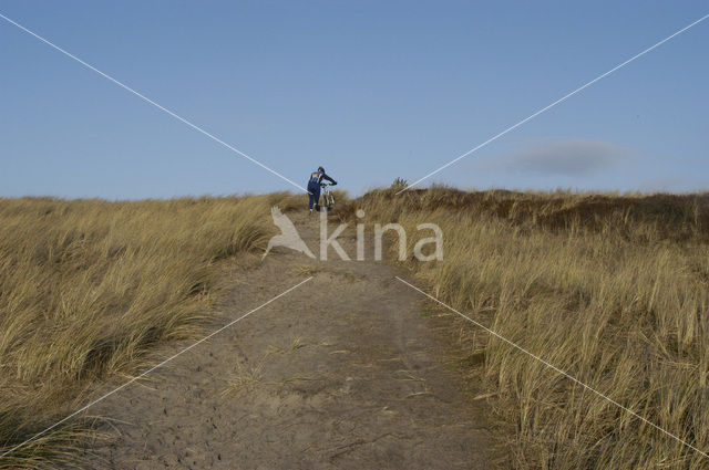 Schoorlse Duinen