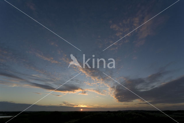 Texel