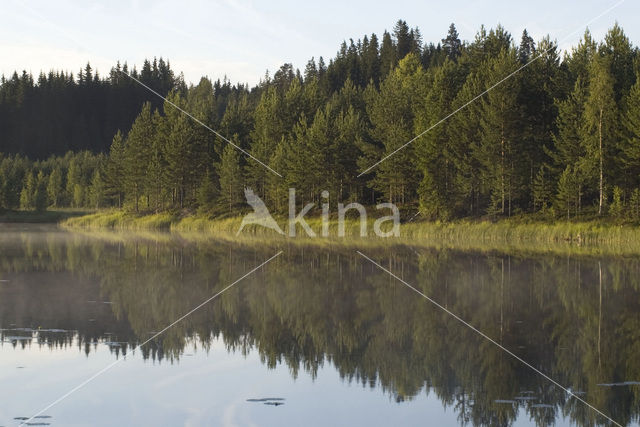 Sweden