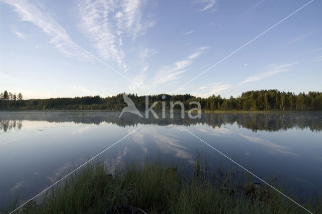 Zuid-Zweden