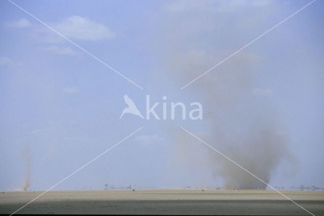 Amboseli National Park