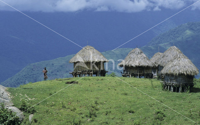 Cherangani hills