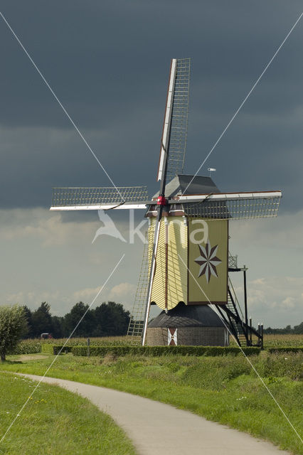 De Hamse Molen