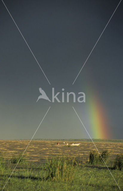 Etosha national park