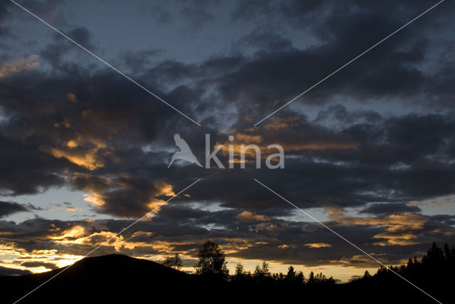 Jotunheimen National Park