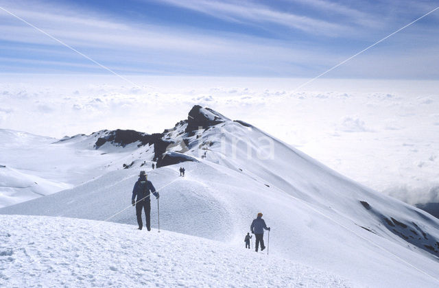 Kilimanjaro