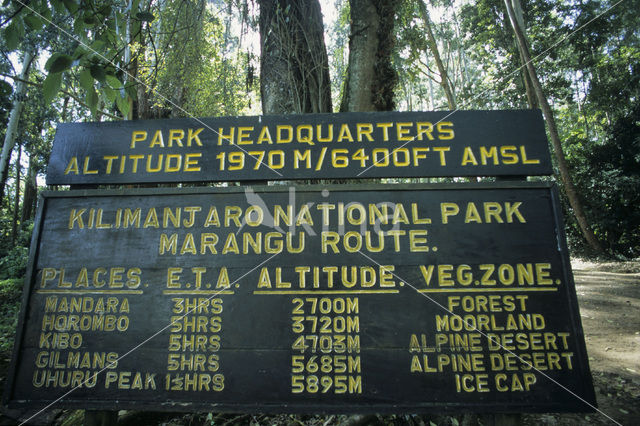 Kilimanjaro