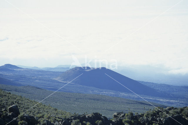 Kilimanjaro