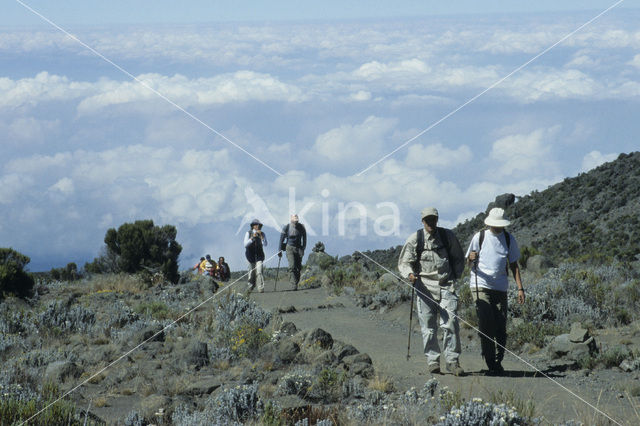 Kilimanjaro