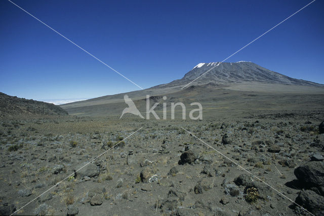 Kilimanjaro