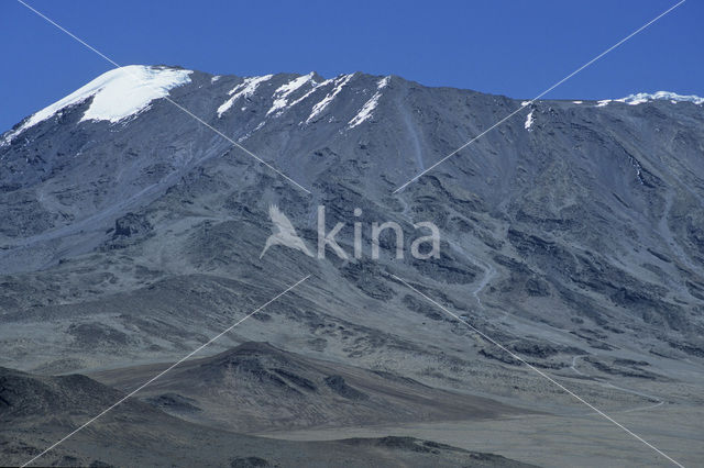 Kilimanjaro