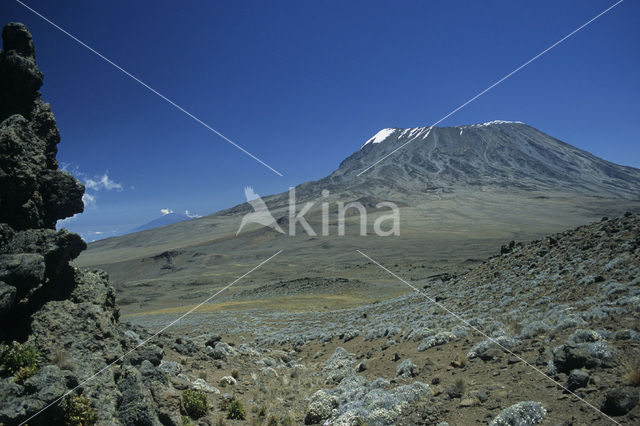 Kilimanjaro