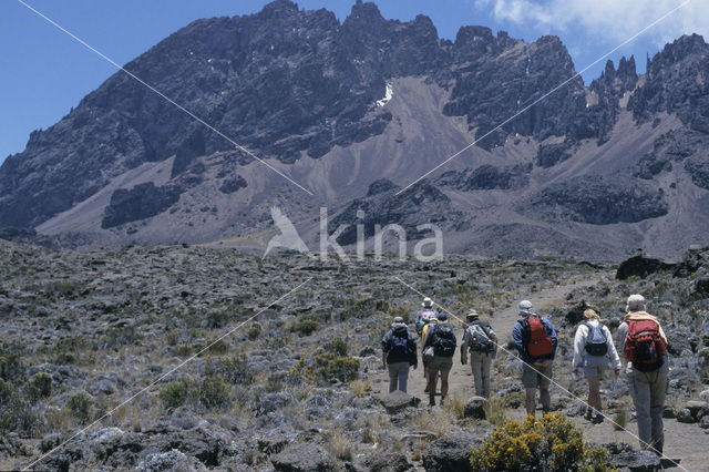 Kilimanjaro