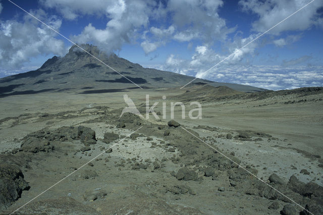 Kilimanjaro