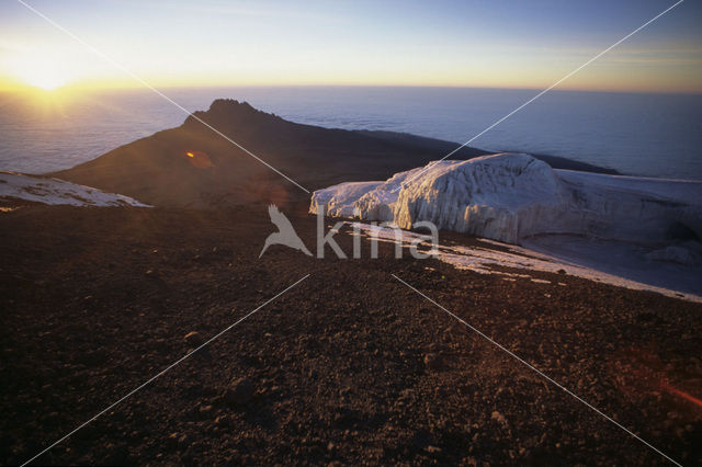 Kilimanjaro