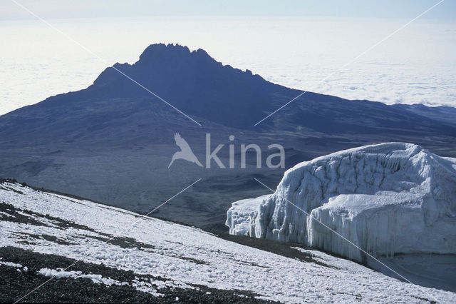 Kilimanjaro