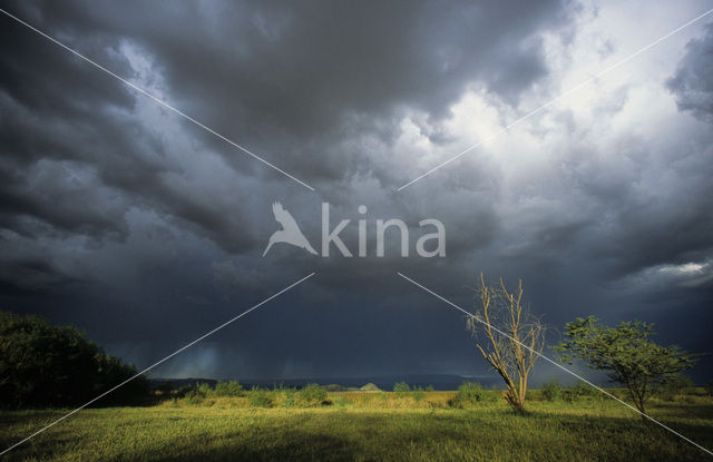 Lake Baringo