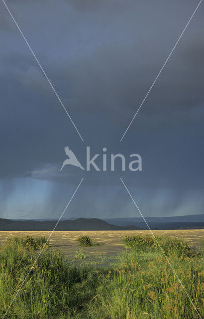 Lake Baringo