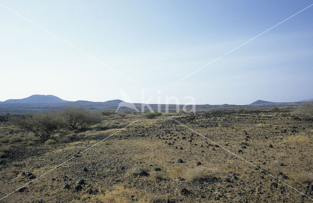 Lake Turkana National Park