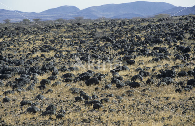 Lake Turkana National Park