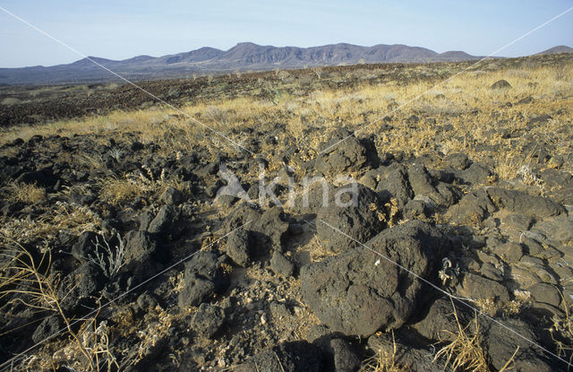 Lake Turkana National Park