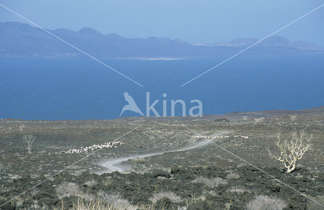 Lake Turkana National Park