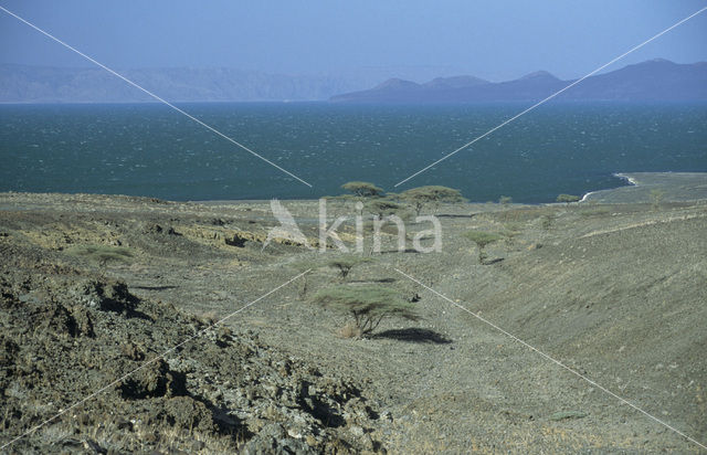 Lake Turkana National Park
