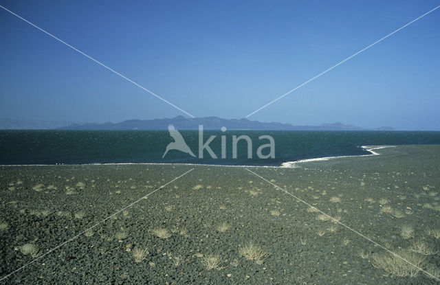 Lake Turkana National Park