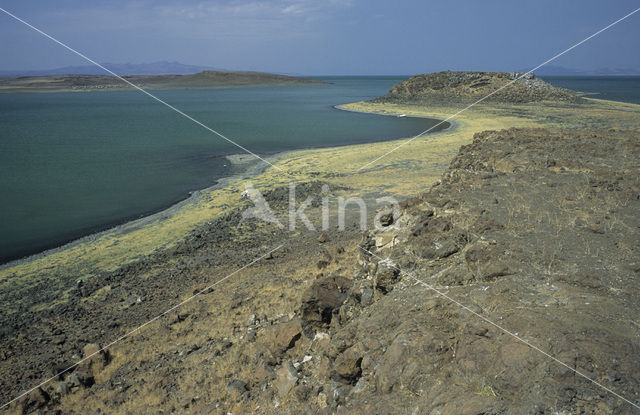 Lake Turkana National Park