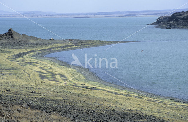 Lake Turkana National Park