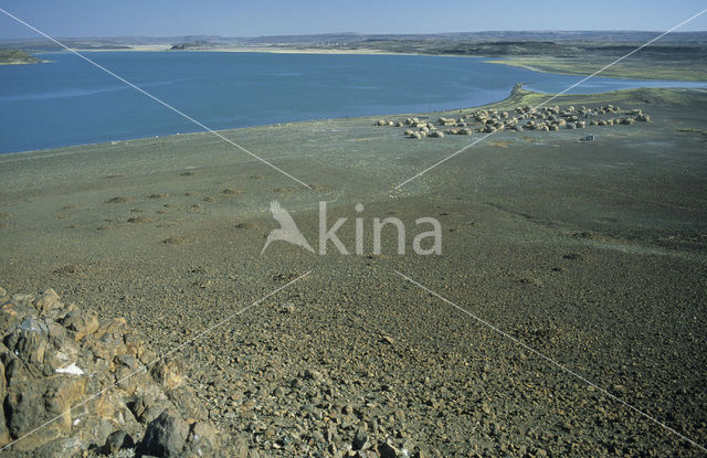 Lake Turkana National Park