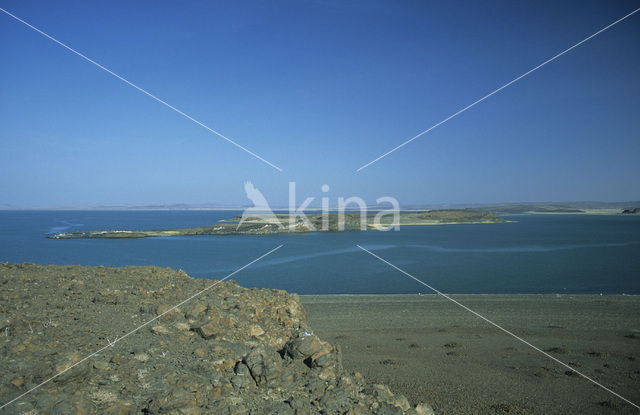 Lake Turkana National Park