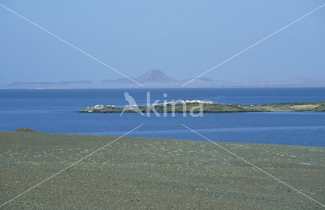 Lake Turkana National Park