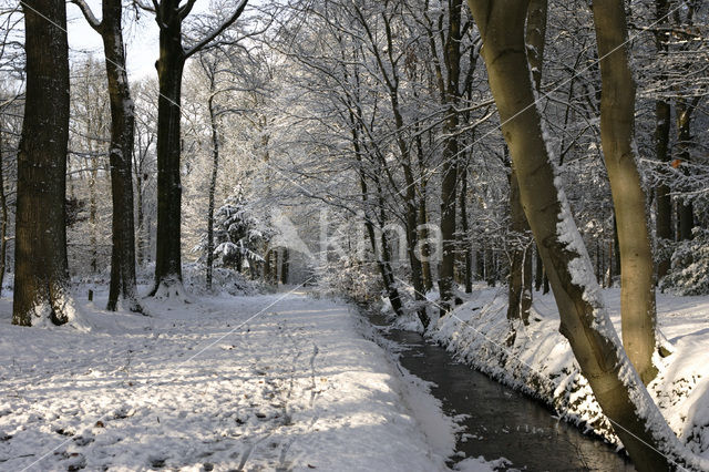 Landgoed de Slotplaats