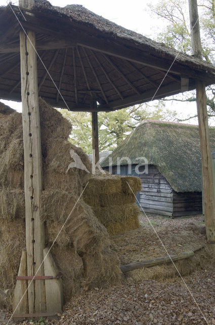 Landgoed Staverden