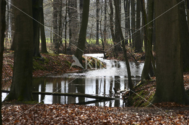 Landgoed Voorstonden