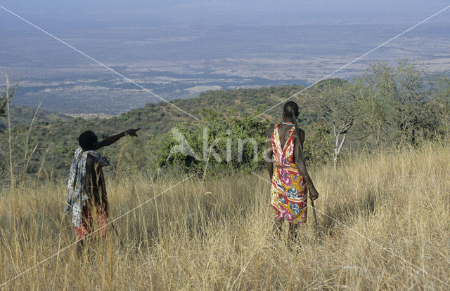 Magadi