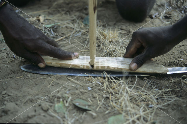 Magadi