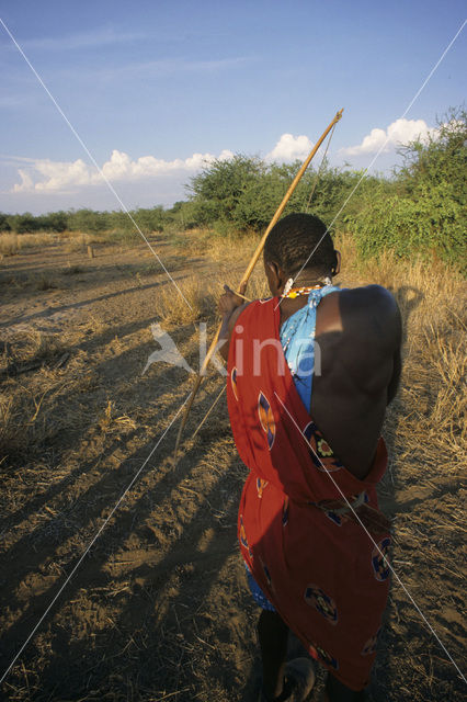 Magadi