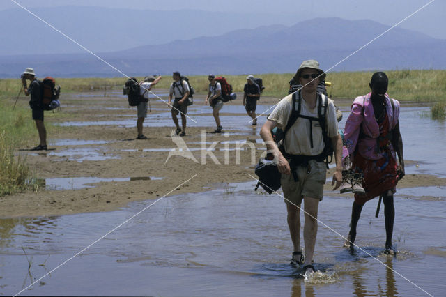 Magadi