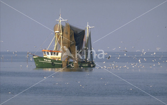 Markermeer