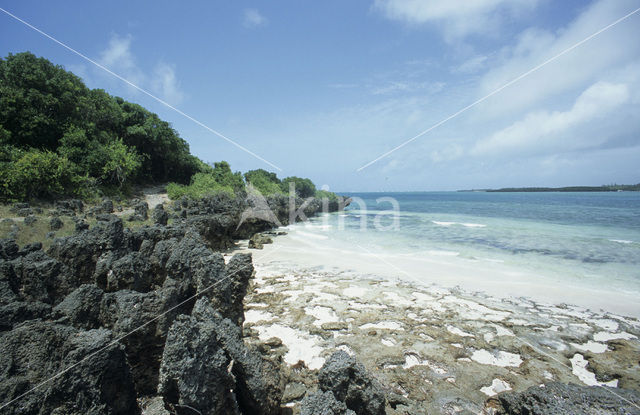 Milda Creek