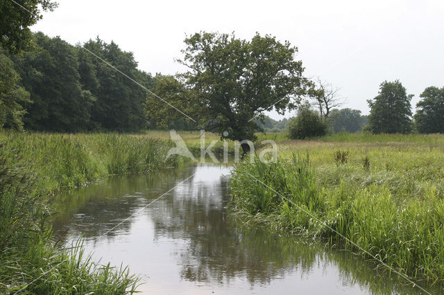 Nationaal beek- en esdorpenlandschap Drentsche Aa