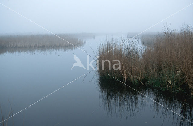 National Park De Alde Feanen