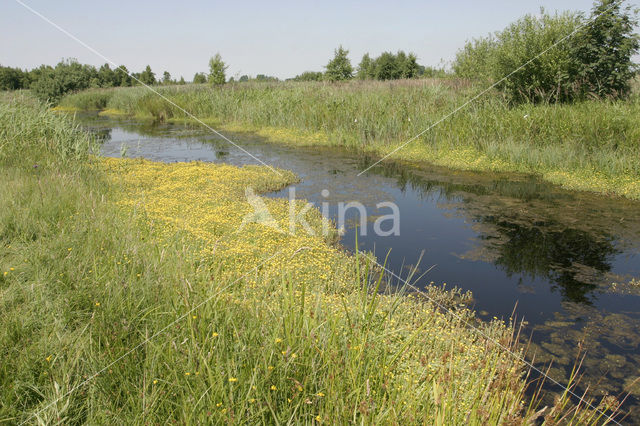 National Park De Alde Feanen