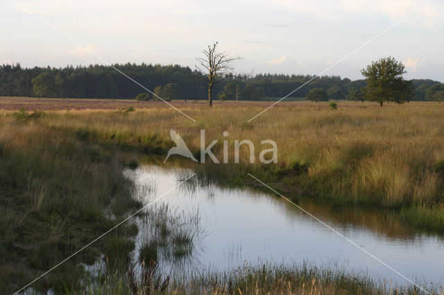 National Park Drents-Friese Wold