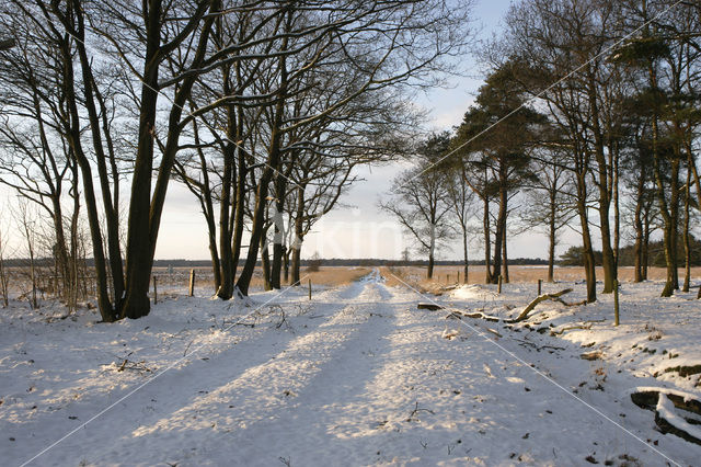 National Park Drents-Friese Wold